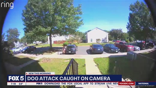 Maryland dog attack caught on camera
