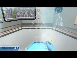 Introduction to the Nervous System: Subdivisions of the nervous system | Virtual Lab