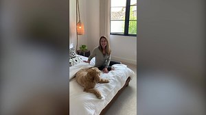 9K views · 33 reactions | Jennifer Adams, celebrity interior design expert and member of our Ask A Pro team, provides tips to make your bed cozy and look great! #ExpectBetter #BHGRE | Better Homes and Gardens® Real Estate | Facebook