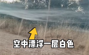 有趣，空中漂浮着一层类似蜘蛛网一样的东西，原来这是逆温层现象
