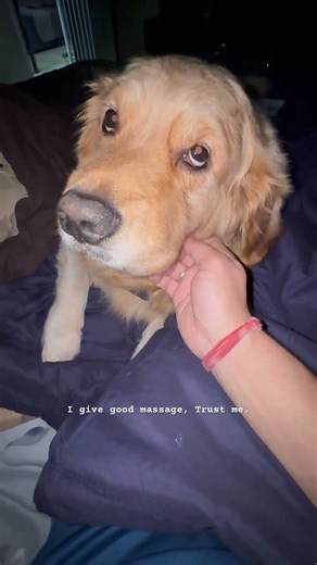 Trust me, I give good massage 💆