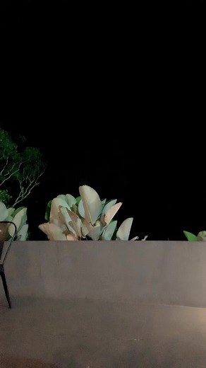 Apryarahma (@apry.ya)’s videos with original sound - CALL ME CECE💕