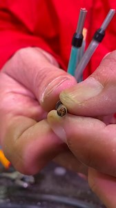 Satisfying Electrical Work | EFIXX