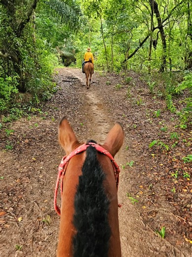 Horse Riding Adventure in the Pantanal, Brazil