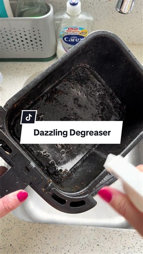 Dazzling Degreaser air fryer cleaner — remove grease fast