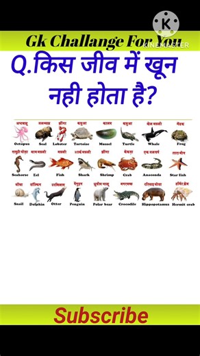 किस जीव में खून नहीं होता है #gkquiz #generalknowledge #gkinhindi