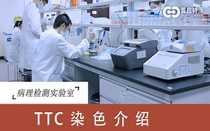 什么是TTC染色实验？
