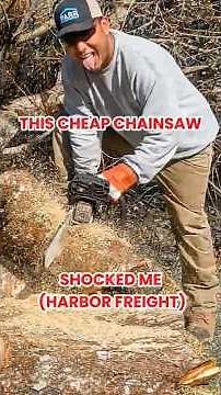 THIS CHEAP CHAINSAW SHOCKED ME (HARBOR FREIGHT)