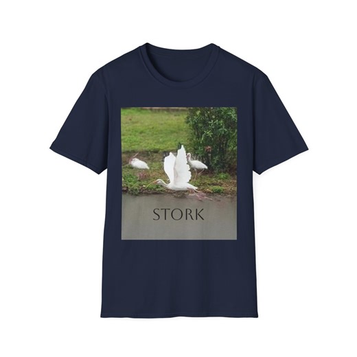 Why Storks Keep Visiting Your Yard – The Real Reason They Pick Your...