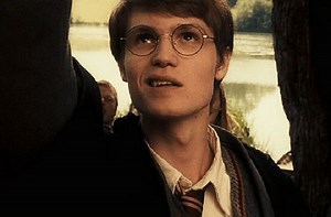 Top 10 Hogwarts Quidditch Players