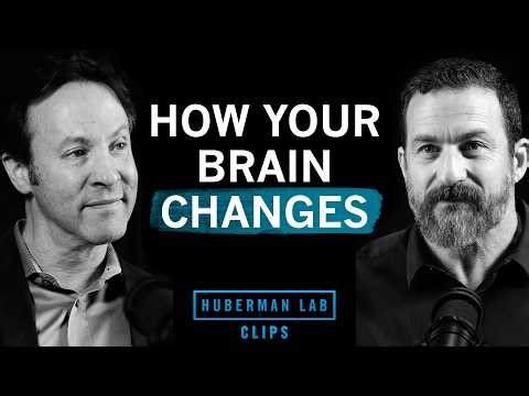Neuroplasticity: How Your Brain Changes | Dr. David Eagleman & Dr. Andrew Huberman