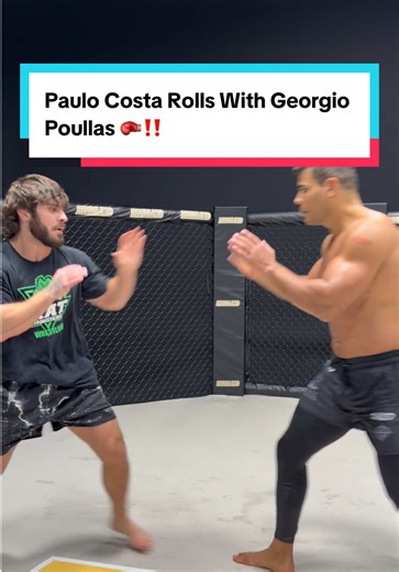 Sparring Session with UFC Champion Paulo Costa
