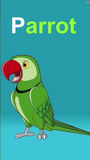 🔠 Alphabet Song | Phonics Song ‪@ZingyKidz‬