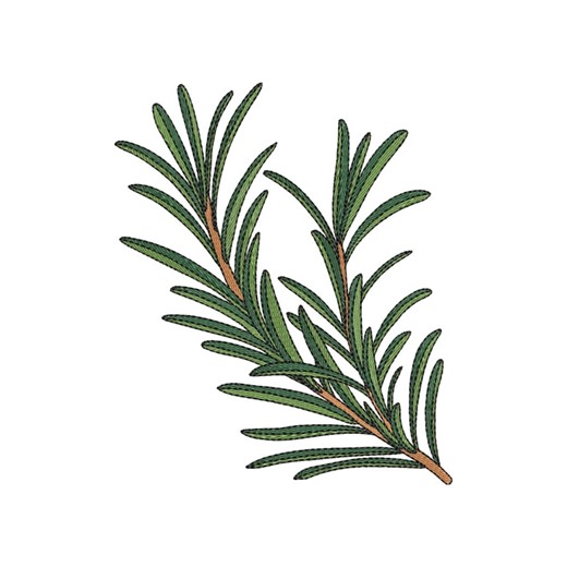 Rosemary Branch Machine Embroidery Design – Herb Botanical Pattern – Kitchen Decor – 7 Sizes – Instant Download - Etsy