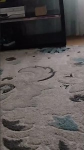 WHO ATE MY REASY CUP!??!??!!