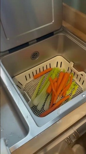 Can Your Dishwasher Do This? | FOTILE 3-in-1 In-Sink Dishwasher