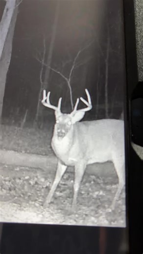 Tracy Turner (@tracydee94)’s videos with original sound - Lorrie Cole