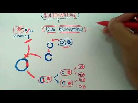 Bioteknologi modern DNA Rekombinan