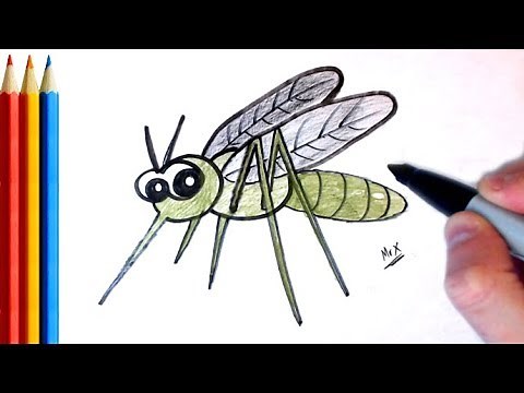 (fast-version) How to Draw mosquito - Step by Step Tutorial