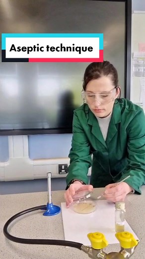 Streak plate in 30 seconds! Aseptic technique practical to grow E.coli. #gcsescience #gcsebiology #alevelbiology #alevelstudent #aseptictechnique #ecoli #microbiology