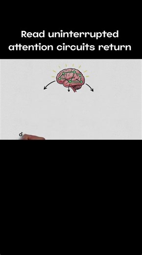 Repetition Rewires the Brain - From The Book :The Shallows