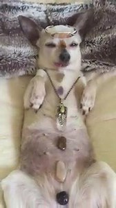 143K views · 173 reactions | The Seven Great Universal Unions Of...