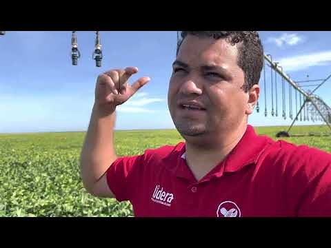 Importância do aspersor final R55 da Nelson no final do pivô central