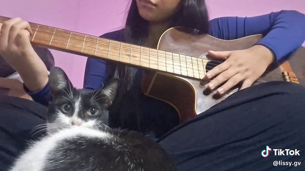 Su mirada🤍 comenten si les gusto 😊#paratiiiiiiiiiiiiiiiiiiiiiiiiiiiiiii#gatostiktok#guitar#fypp#viral#emiliamernes#tiktok