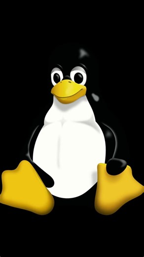 How to Build a Professional Cybersecurity Home Lab #ethicalhacking #hacker #cybersecurity #osint