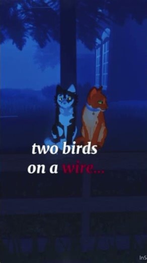 Two birds…./tiznado y colorado/ warrior cats/ Deer”star