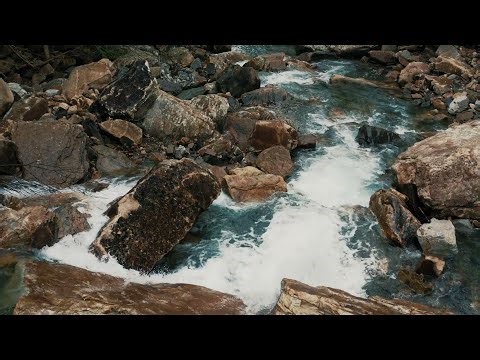 Forest Stream | 1 Hours of Flowing Water Sounds
