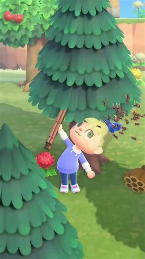 I Didn't Think This Was Even Possible?! | Animal Crossing New Horizons #animalcrossing #acnh