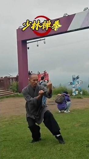 Shaolin Chan Quan 少林禪拳 ③ #shaolinkungfu #shaolin #martialarts #traditionalchinesekungfu #少林禪拳 #chan