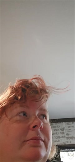 This is the view of me trying to scroll on my phone or do a craft. They will even bite my thread if im sewing 🫠 whoever said cats just leave you alone and done want to be bothered have never had a clingy cat. | Renee Maddox