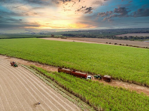Agricultura brasileira: características, tipos - Brasil Escola