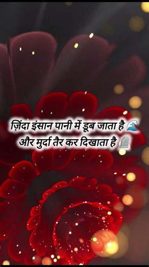 Dil Ko Chhoo Jaane Wali Emotional Shayari 💔 | Life Reality Status ✨ #shayari #sad #viral #shorts
