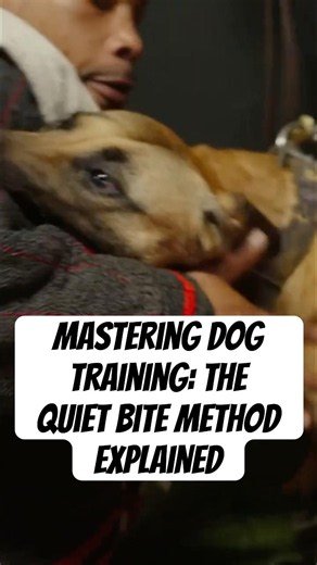 Mastering Dog Training: The Quiet Bite Method Explained Guest Matt Rogers @backup_k9matt1_