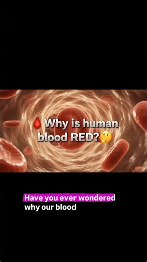 Why is our blood RED? Hemoglobin || Protein