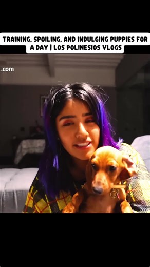 Videos de shellvoicqa (@shellvoicqa) con “nhạc nền - shellvoicqa”