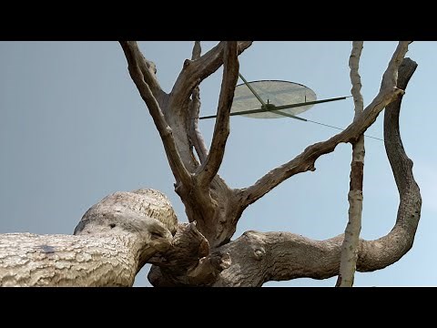 Working with 3D Scan Objects - Rhino 7