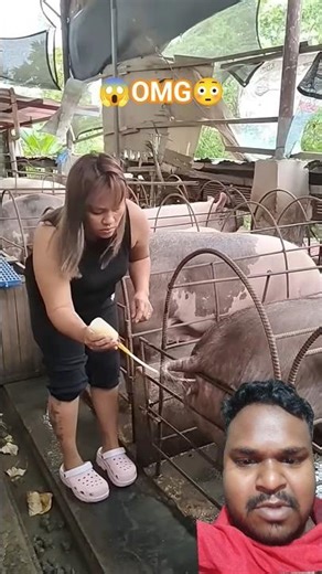 Bimar Suar Ka Ilaj Kaise Kare? 🩺🐖 PigFarming #SuarPaalan #AnimalHealth #shorts