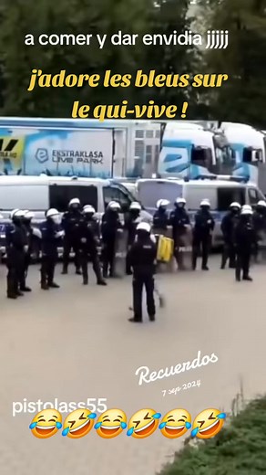 Furet Jaune on Reels