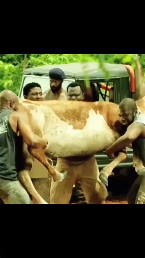 Amazing Movie Part 1 Review