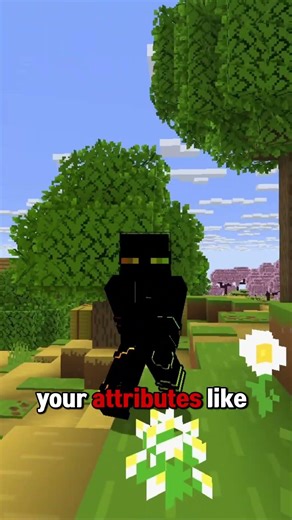 CHANGE YOUR GRAVITY IN MINECRAFT