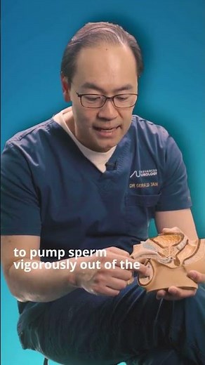 How Does Ejaculation Work? | #MCAshorts