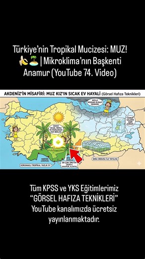 Türkiye’nin Tropikal Mucizesi: MUZ! 🍌🏝️ | Mikroklima’nın Başkenti Anamur (74. Videodan kısa kesit)