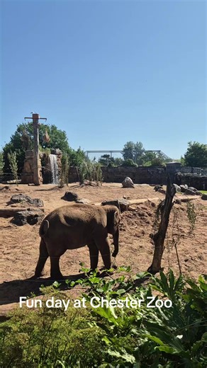 First time visiting Chester Zoo! Great experience 🥰