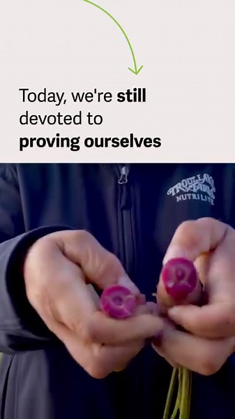 84K views · 3.1K reactions | Over 80 years as the world’s leading supplement brand. ⭐ Research evolves, and so do our processes.  We’re committed to maintaining your trust in the effectiveness and purity of our products by testing at the highest standards from seed to supplement.  Send this to a friend who has high standards  #Nutrilite #Traceability #AmwayTraceability | Nutrilite | Facebook