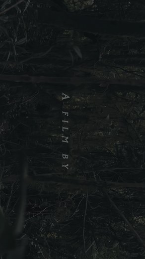 Cinematic Performance of Coldplay's 'Fix You'