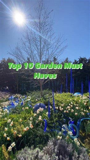 Watch Top 10 Gardening Must Haves on Amazon Live